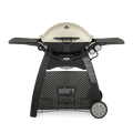 GRIL À GAZ WEBER® Q 3200