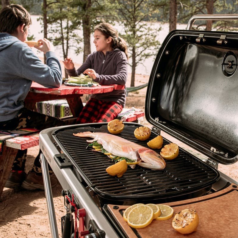 BARBECUE À GAZ PORTABLE WEBER TRAVELER